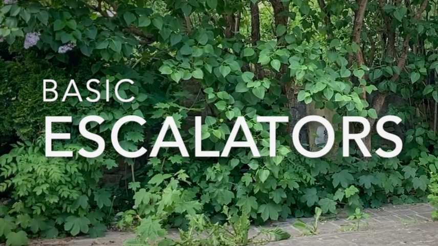 Basic Escalators